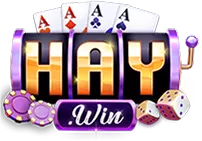 TOP 12 NHÀ CÁI UY TÍN NHẤT VIỆT NAM 2026 49 Cổng game haywin
